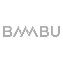 Bambo development