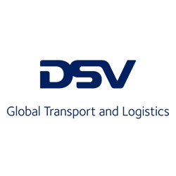 DSVr
